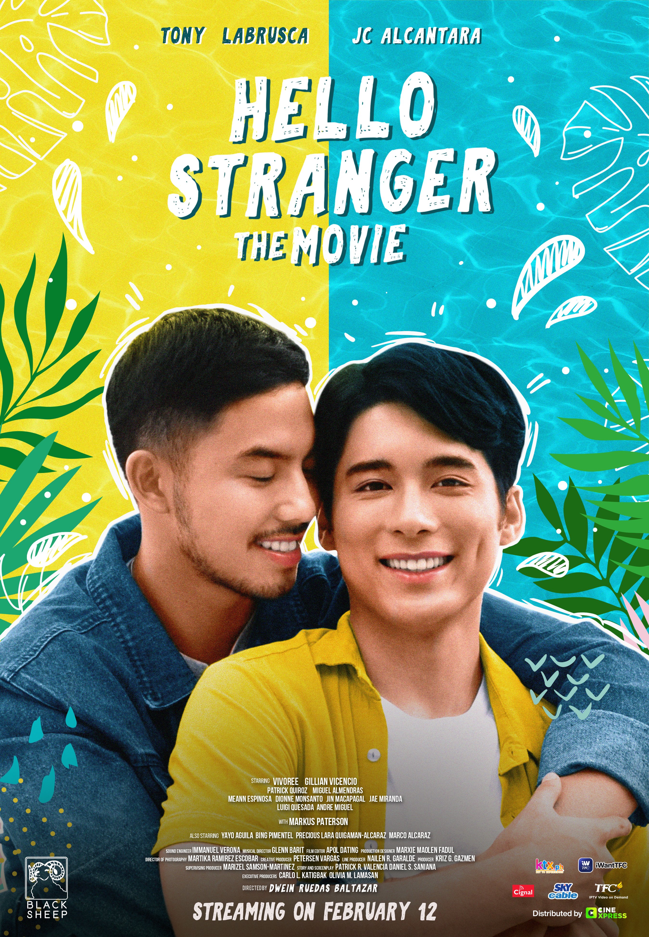 Hello, Stranger: The Movie