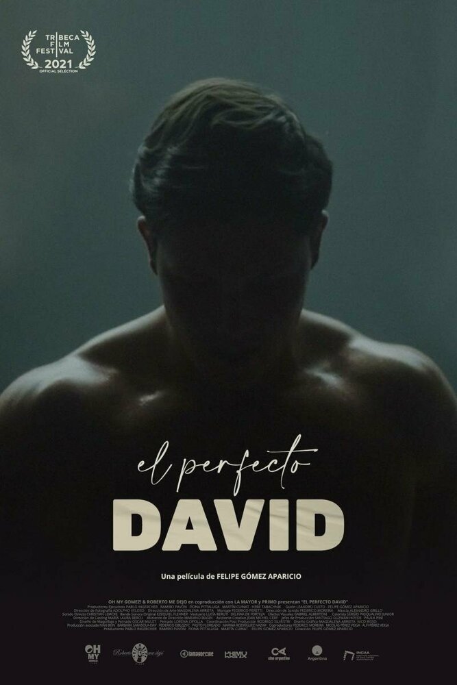 El perfecto David (2021)