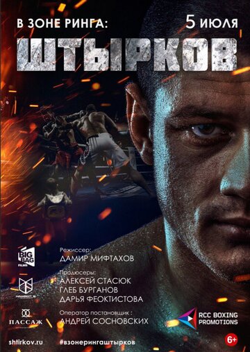 В зоне ринга: Штырков (2017)